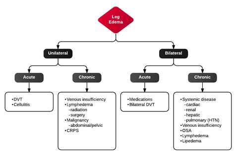 Filedifferential Diagnosis Of Lower Extremity Edemapng Wikem