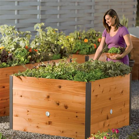 Self Watering Eco Stained Elevated Planter Box