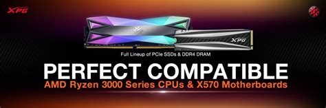 Xpg Announces Perfect Compatibility With Amd Ryzen 3000 Cpus And X570