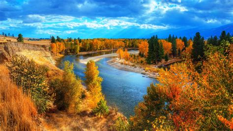 River Between Fall Green Yellow Leafed Trees Under Blue Sky 4k Nature