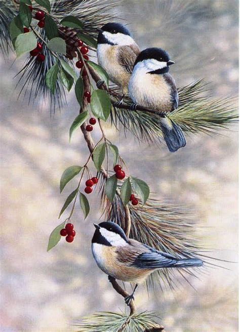 Birds Painting Christmas Paintings Bird Pictures