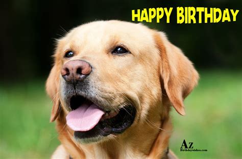 Dog Birthday Wishes Images Birthdayqw