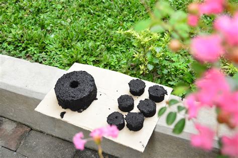 Air limbah farmasi memiliki dampak yang berbahaya bagi lingkungan. Inovasi Alat Pencetak dan Kompor Briket dari Sampah ...