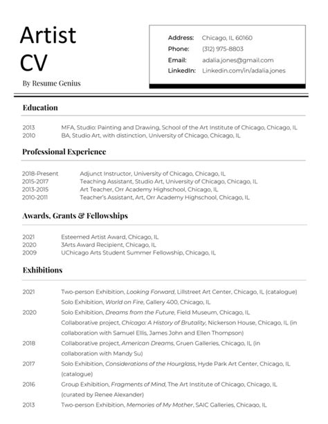 Artist Cv Example Template And How To Write Resume Genius