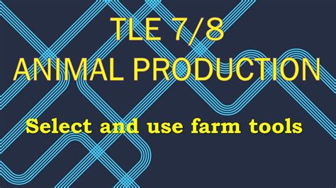 Tle 78 Animal Production Youtube