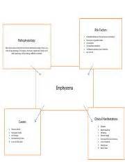 Emphysema Concept Map Risk Factors Pathophysiology When The