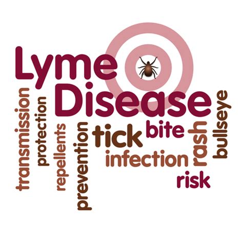 Lyme Disease The Great Imitator Whitaker Wellness Institute