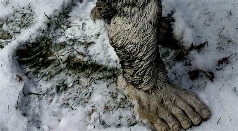There Have Been Four Recent Bigfoot Sightings In A North