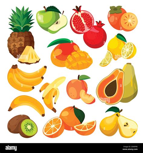 Bananas Oranges Pineapple And Other Tropical Exotic Fruits Vector