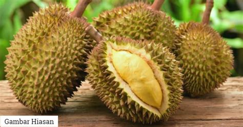 3 jenis ubat sakit gastrik bagi melegakan pedih ulu hati. "Action Without Delay," China Hantar Bantuan Ubat-Ubatan ...