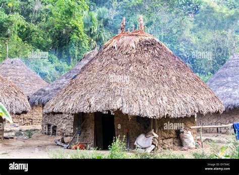 Houses In An Indigenous Village Inhabited By The Wiwa Indian Tribe In