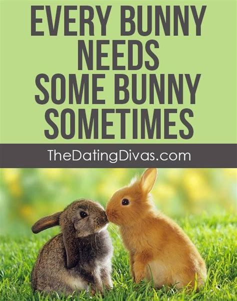 Every Bunny Needs Some Bunny Sometimes Best Quotes Of All Time Best
