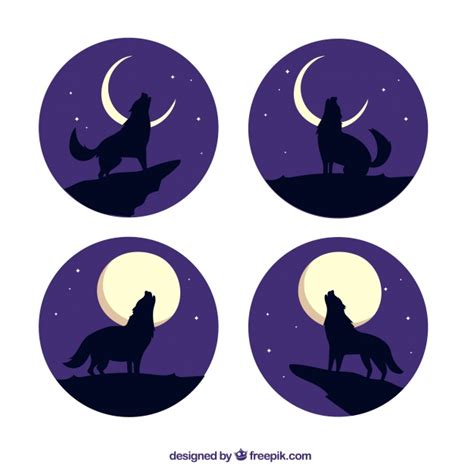 Packung Von Vier Wölfen Heulen Auf Dem Mond Download Der Kostenlosen