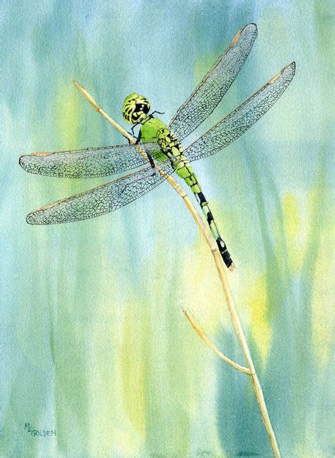 38 Dragonfly Ideas Dragonfly Dragonfly Art Dragonfly Painting