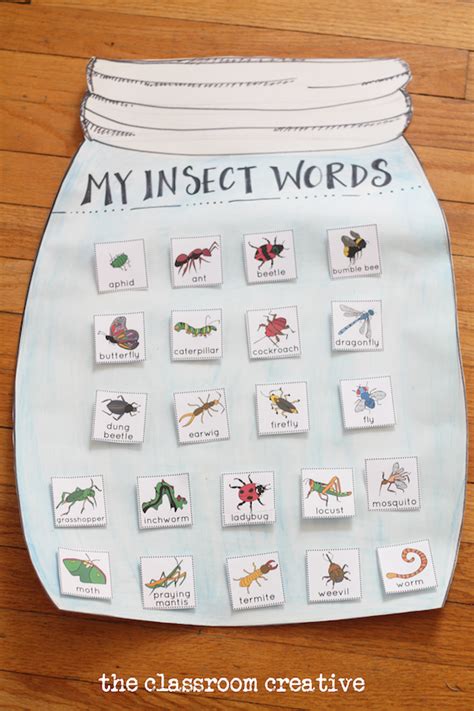 Insect Unit Idea Interactive Insect Vocabulary Anchor Chart Insect