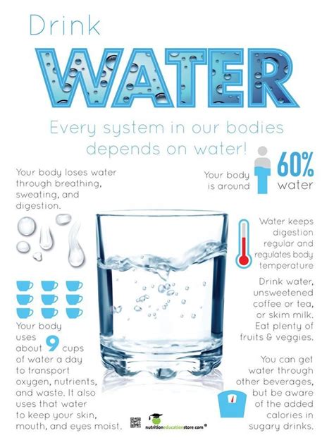 Drink Water Poster 18x 24 Laminated Poster In 2020 Drinking Water
