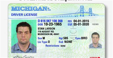 Editable Drivers License Template Powendg