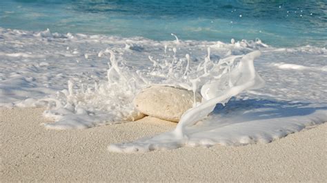 Wallpaper Beach Sea Foam Stone 3840x2160 Uhd 4k Picture Image