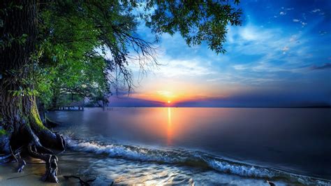 1366x768 Resolution Nature Sea Sky Skyline Sun Tree 1366x768 Resolution