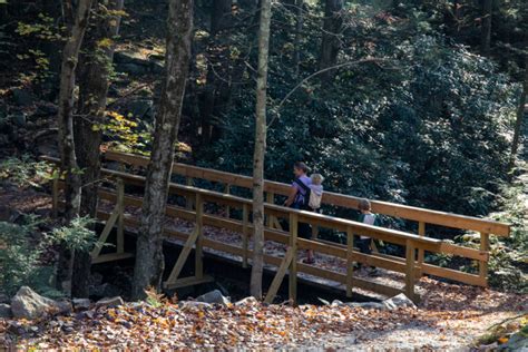 Hiking The Incredible Shades Of Death Trail In Hickory Run State Park