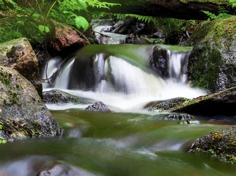 Forest River Stream Water Slowly Flow Mossy River Stream Rocks Mossy