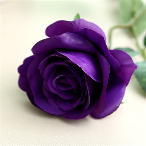 Bouquet Real Purple Roses Ubicaciondepersonascdmxgobmx