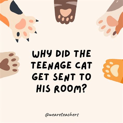 34 Cat Jokes For Kids These Are Hiss Terical