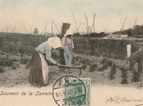 Flévy La Vie Paysanne Les Travaux Dans Les Champs Au Début Du Xxe Siècle