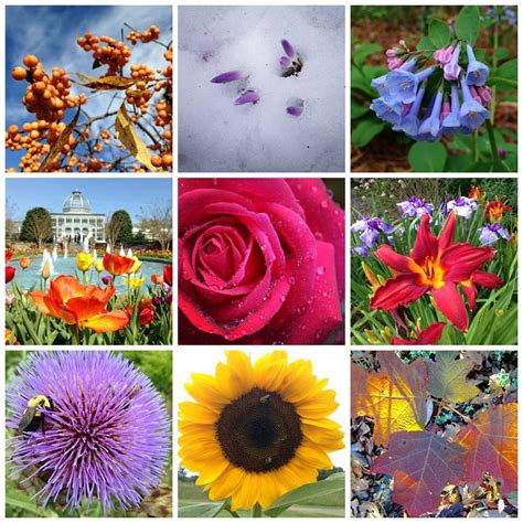 A Year In Review From Lewis Ginter Botanical Garden From Left To Right