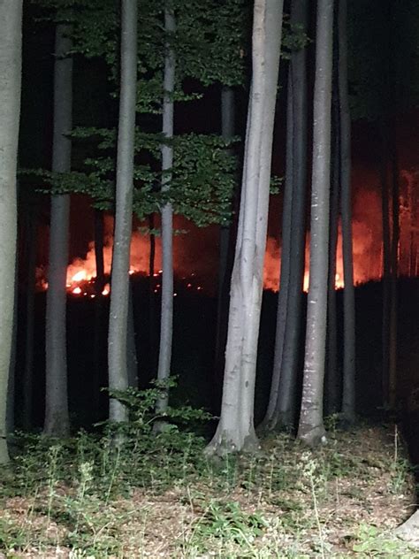 Peste 120 de intervenții ale pompierilor în weekend iar la Slatina de