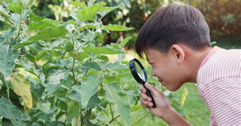 7 proven strategies for teaching your kinesthetic learner at home