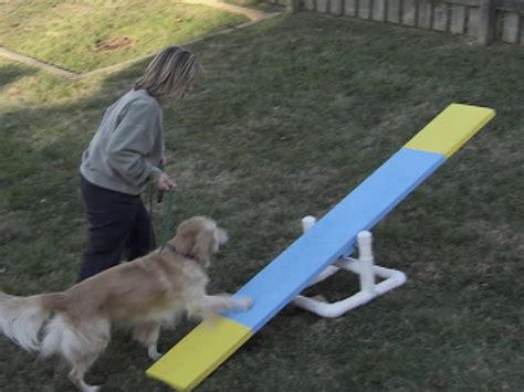 We all dream of owning that perfectly well behaved, agile dog that 3 the benefits of agility training your dog are plenty! DIY Dog Agility Course - petdiys.com