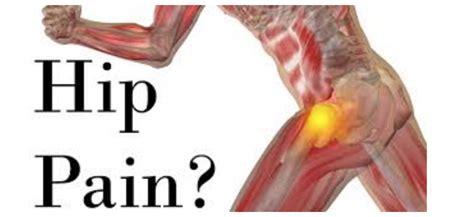 If these muscles become overused, they can stain or tear. Muscles In Hip Area : TOP 3 Inner Thigh Stretches to ...