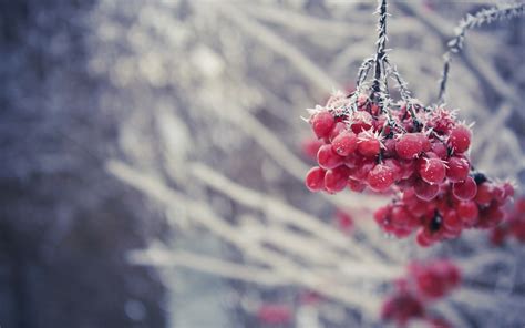 Vintage Winter Wallpapers Top Free Vintage Winter Backgrounds