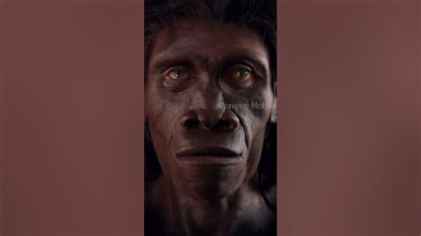 Did Humans Really Evolve From Apes Youtube