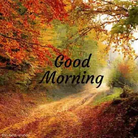Good Morning Nature Images Free Download For Whatsapp The Most