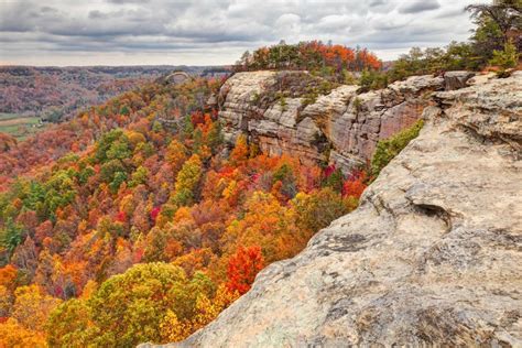 Where To See Fall Foliage In Kentucky