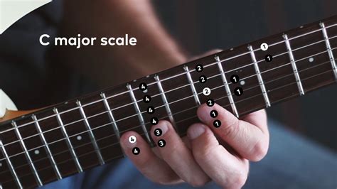 Guitar How To Learn Scales Career Keg