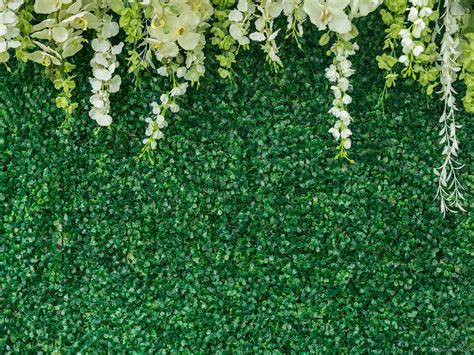 Green Grass Wall Flowers Decoration Vinyl Photography Backdrops Bridal