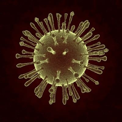 Questions about coronavirus in de? ArtStation - Zika Virus, Paul Drumdorf
