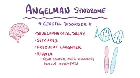 Angelman Syndrome Video Anatomy Definition Osmosis