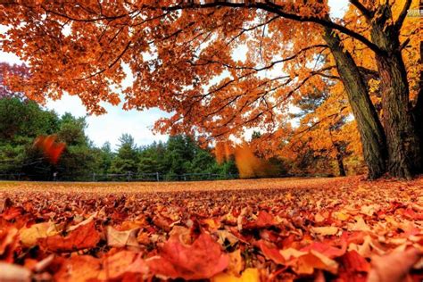 69 Fall Desktop Backgrounds ·① Download Free Amazing Backgrounds For