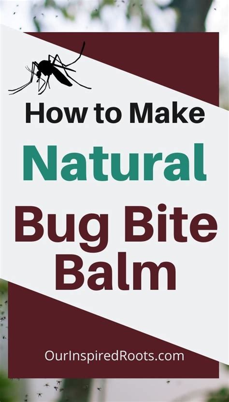 Bug Bite Balm Recipe A Natural Bug Bite Remedy Recipe The Balm