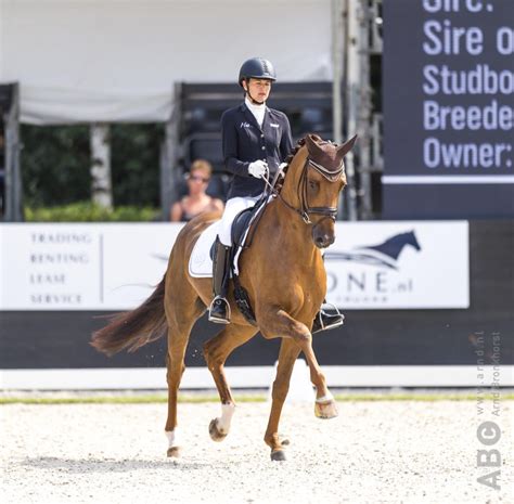 Dorian gray bol mladý anglický aristokrat, ktorému v živote nič nechýbalo. Dorian Grey de Hus wint Frans Kampioenschap jonge paarden ...