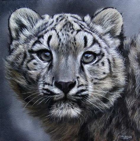 Jason Morgan Big Cats Art Leopard Art Snow Leopard Art