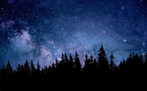 Night Wallpaper 4k Starry Sky Forest Silhouette Astronomy Nature