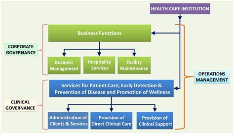 Clinical Governance Health Care Service Delivery