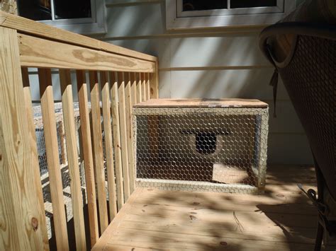 Cat Door And Tunnel For Outdoor Cat Enclosure Outdoor Cat Tunnel