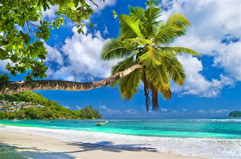 100 Tropical Island Wallpapers