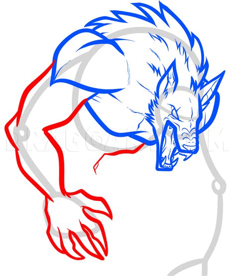 How To Draw An Anime Werewolf Step By Step Drawing Guide By Dawn